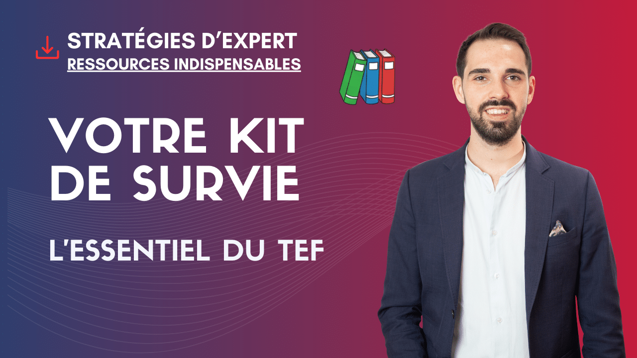 Le Guide Stratégique du TEF